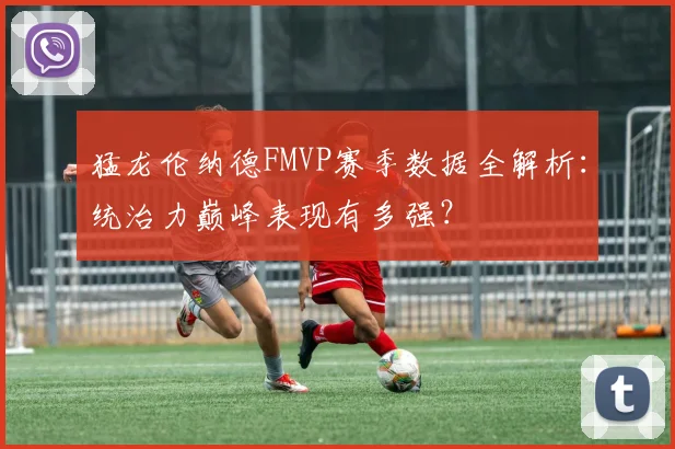 猛龙伦纳德FMVP赛季数据全解析：统治力巅峰表现有多强？